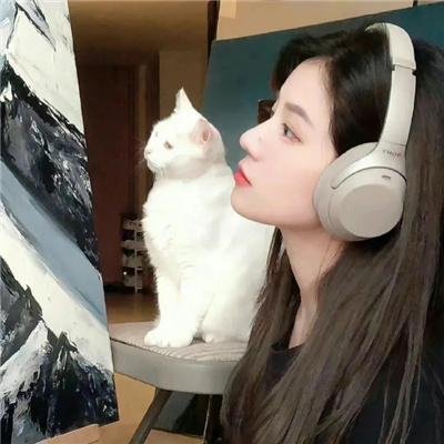 天蝎第一季
